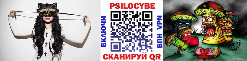 Галлюциногенные грибы Psilocybine cubensis  Тобольск 